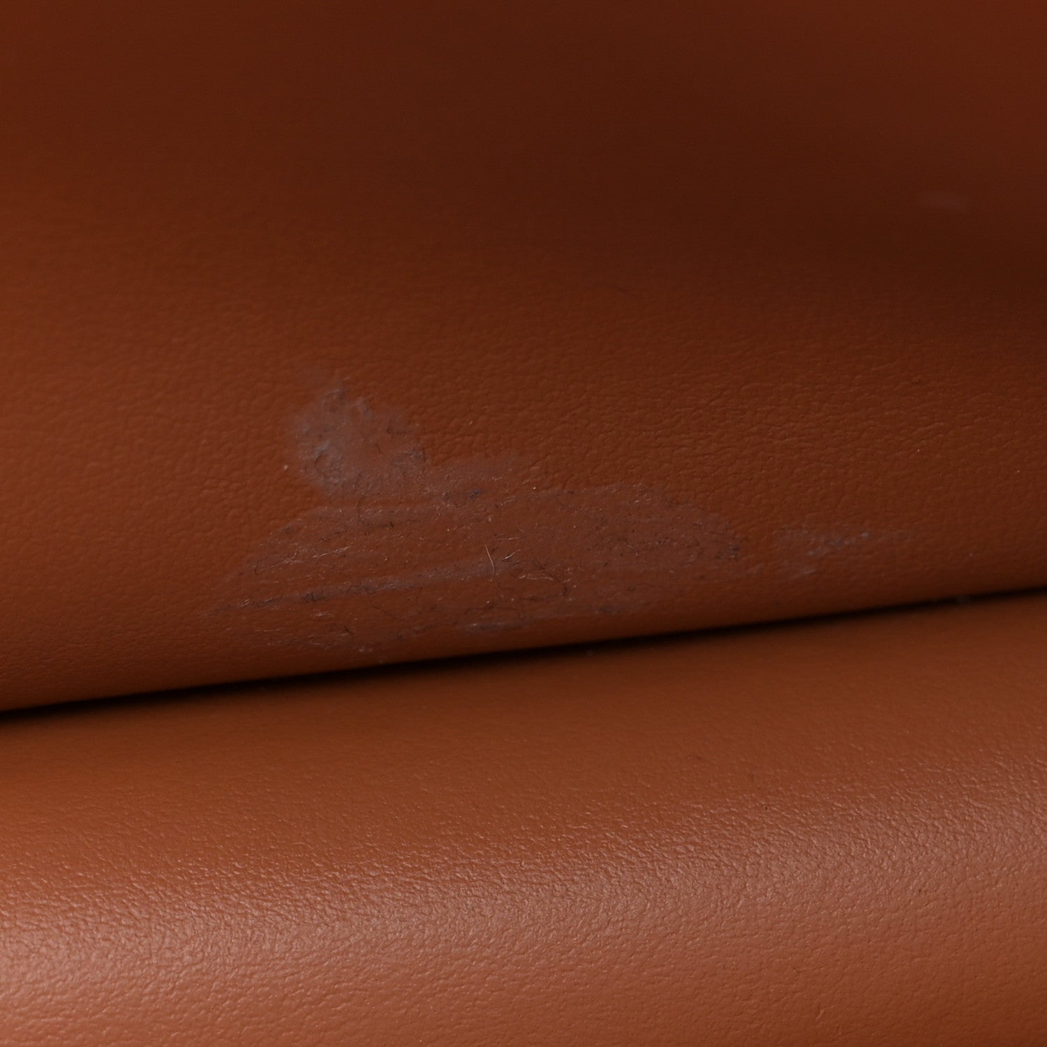 Celine Triomphe Canvas Lambskin Wallet On Strap Tan 13 of 17