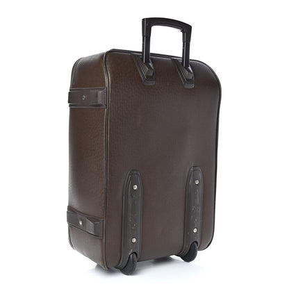 Louis Vuitton Taiga Pegase 60 Grizzli 3 of 15