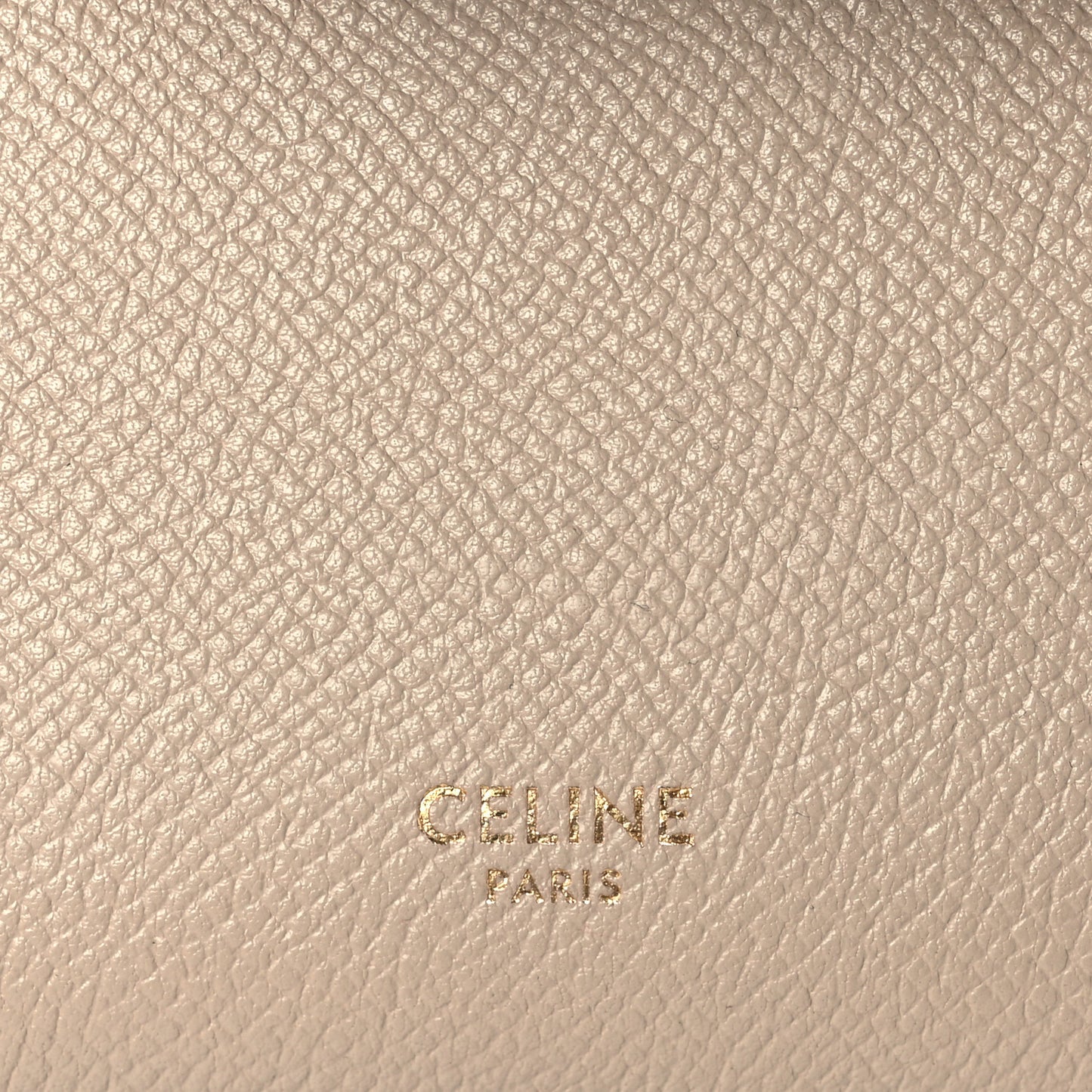 Grained Calfskin Pico Belt Bag Light Taupe