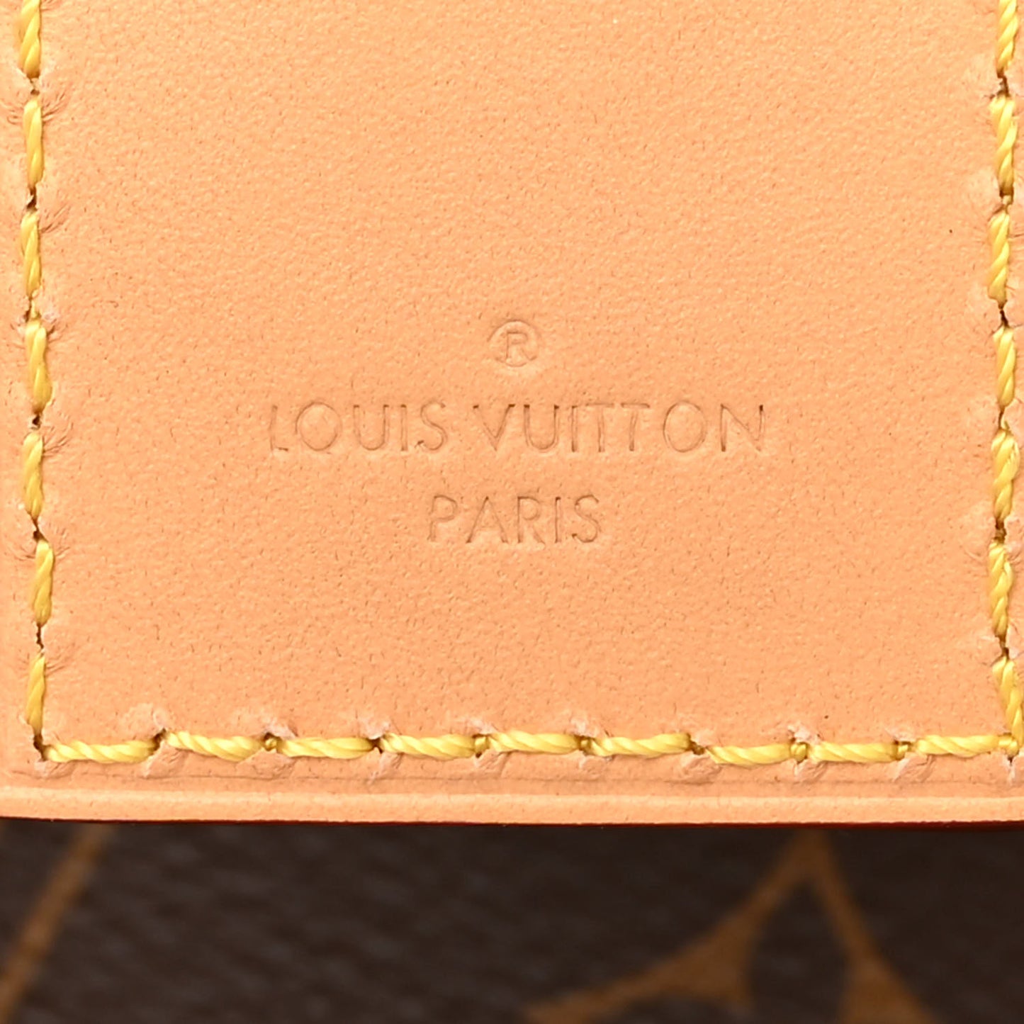 Monogram CarryAll MM