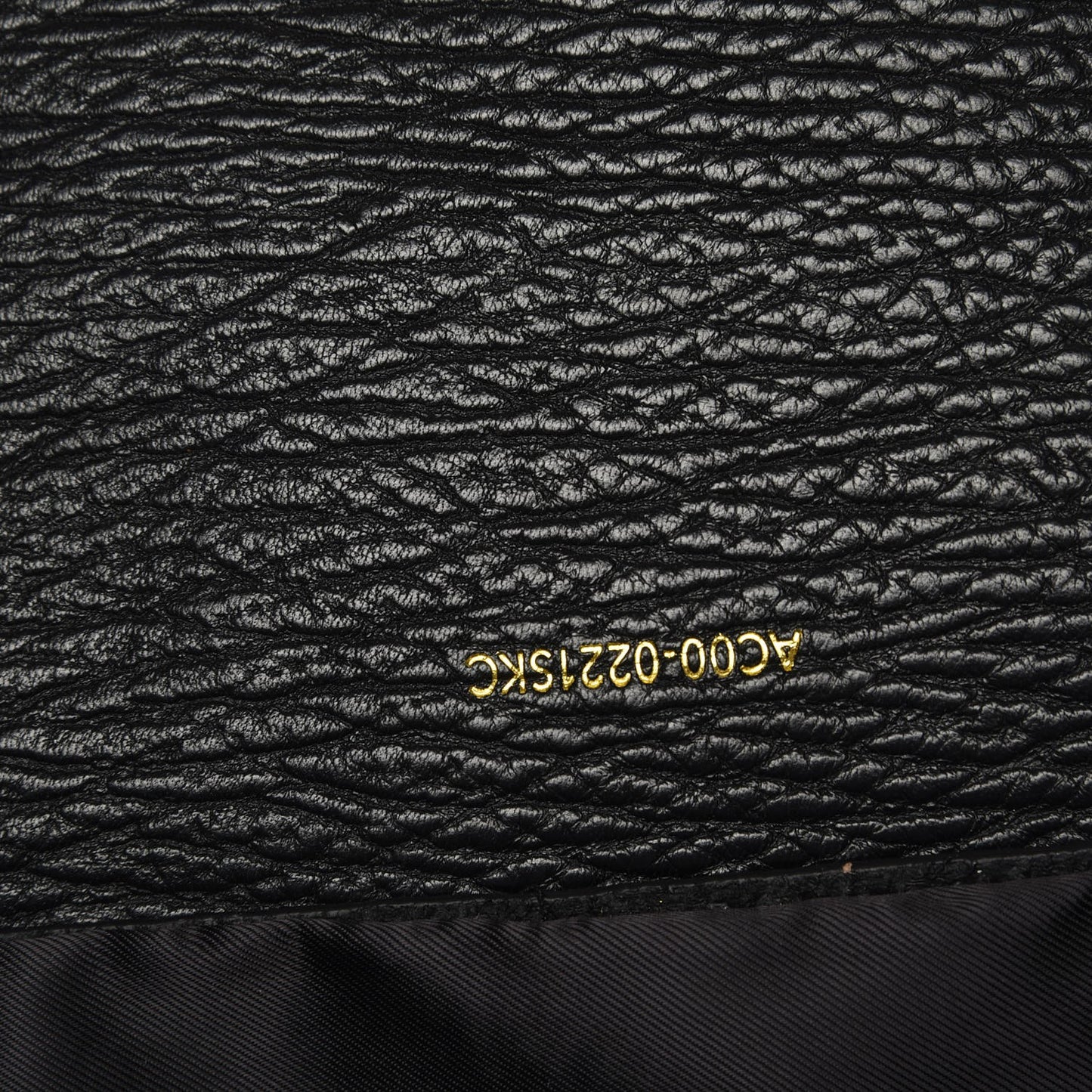 3.1 Textured Calfskin Large Pashli Satchel Black