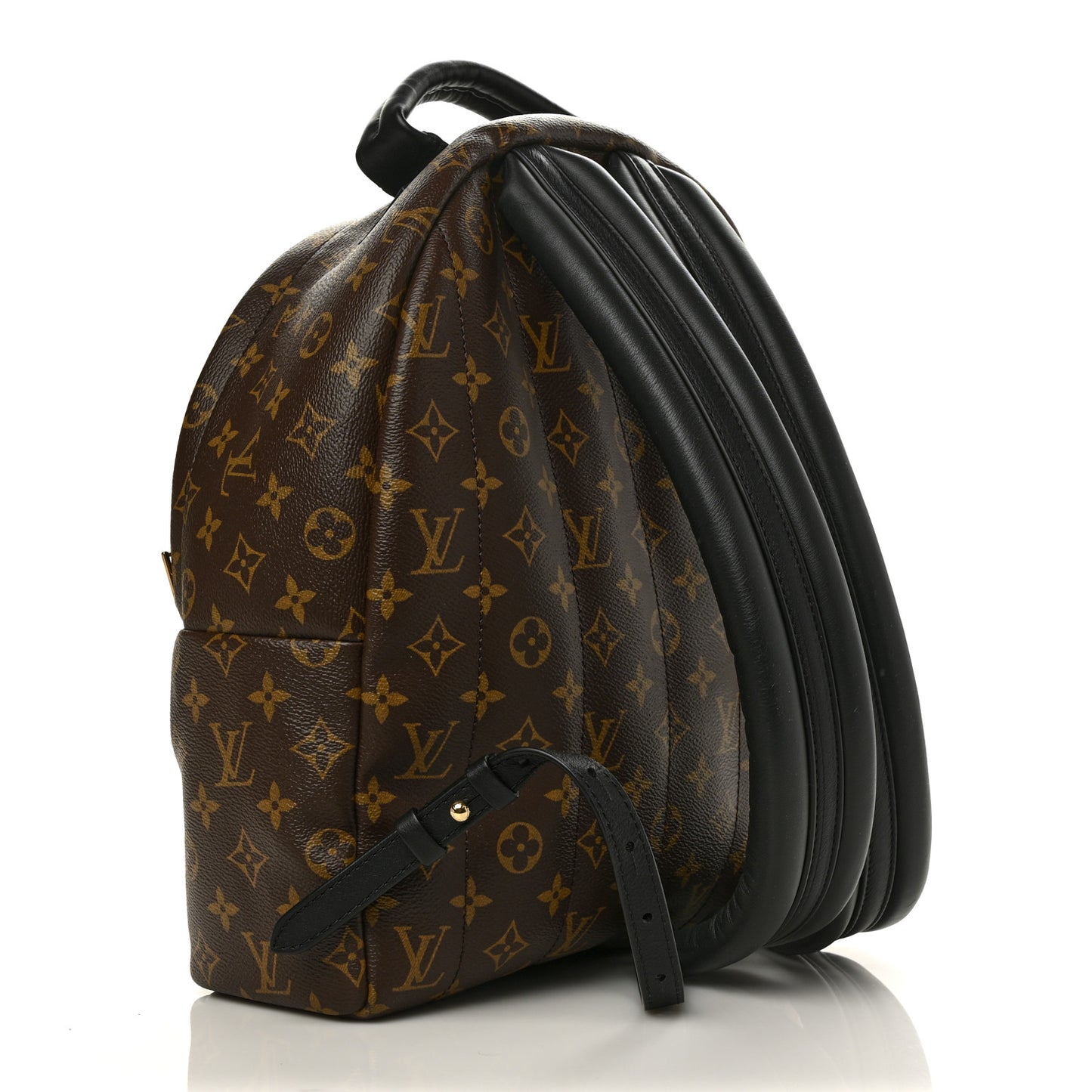 Monogram Palm Springs Backpack MM