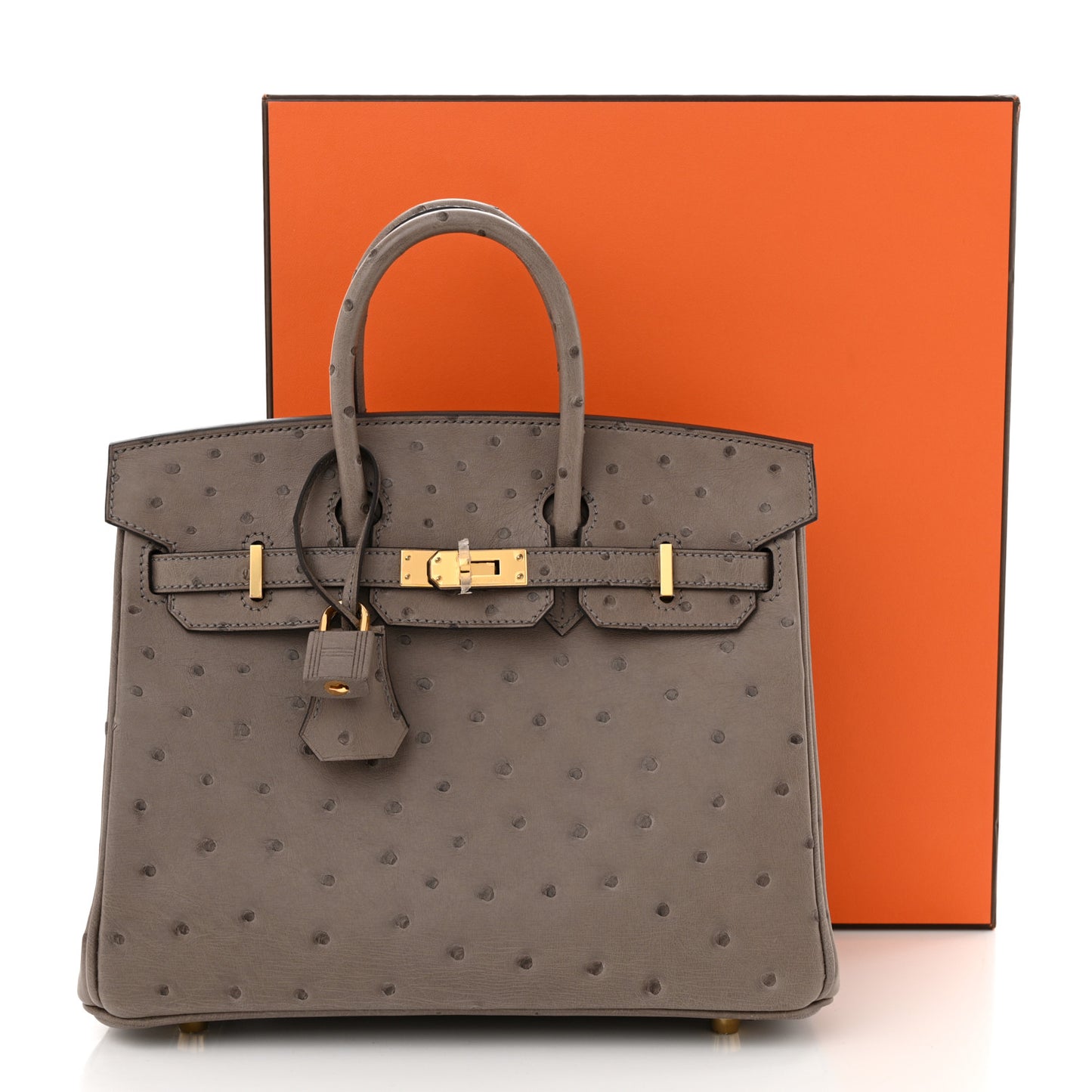 Ostrich Birkin 25 Gris Tourterelle
