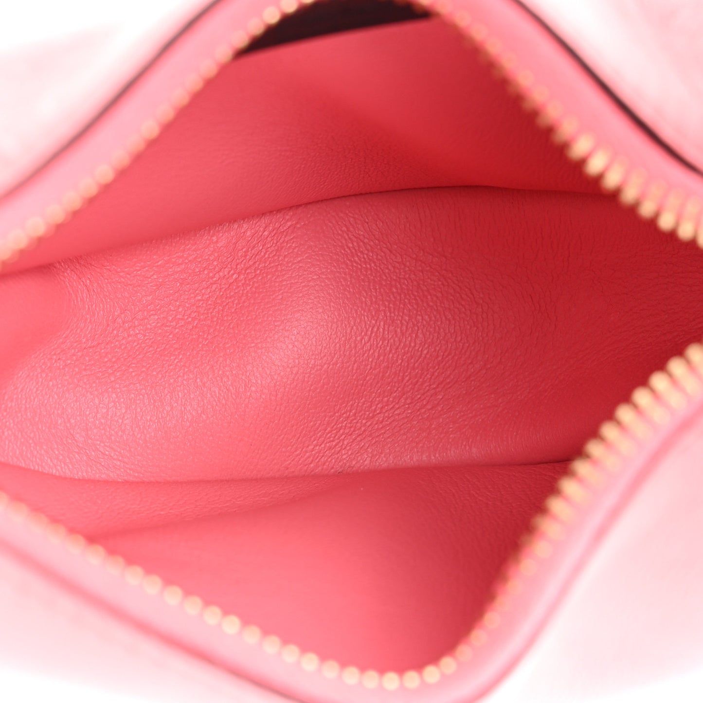 Vitello Grace New Matte Nano Fendigraphy Hobo Charm Pink Dalia