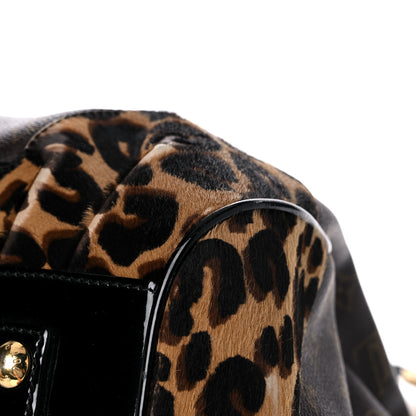 Louis Vuitton Monogram Leopard Stephen Bag 10 of 29