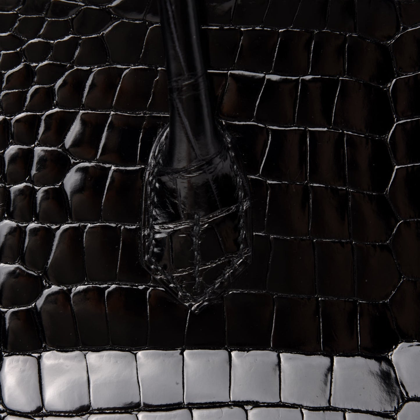 Shiny Porosus Crocodile Birkin 35 Black