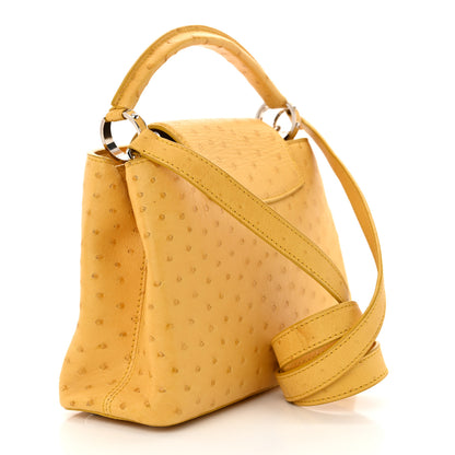 Louis Vuitton Ostrich Capucines BB Yellow 3 of 16