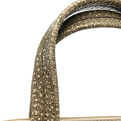 Fendi Pebbled Calfskin Small Chameleon Tote Beige Grey 15 of 16