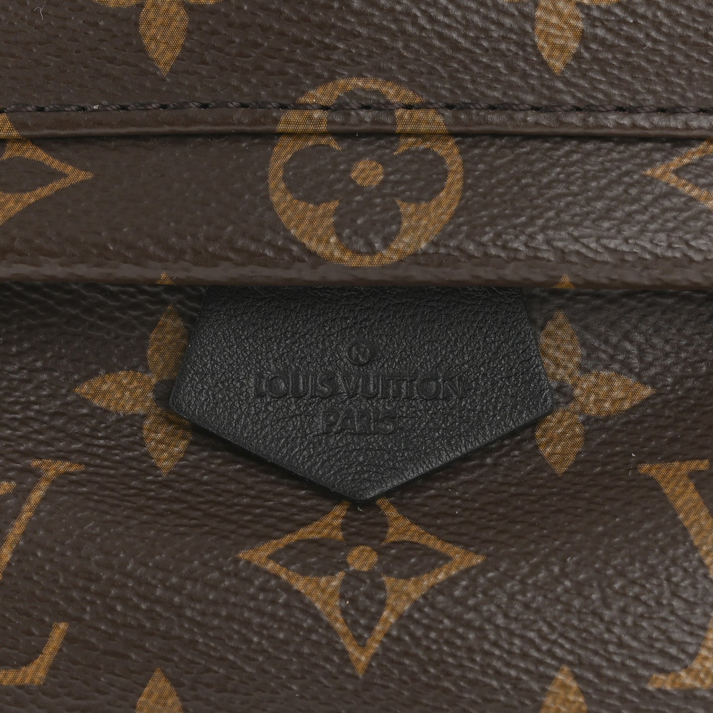Monogram Palm Springs Backpack Mini