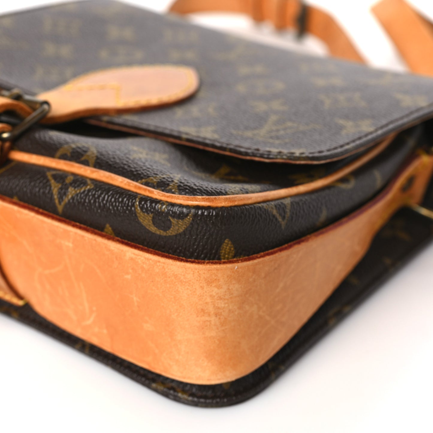 Monogram Cartouchiere 22