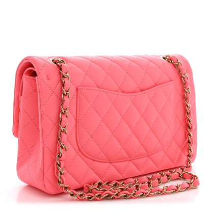 Chanel Lambskin Quilted Medium Hollywood Charms Double Flap Coral Pink 3 of 11