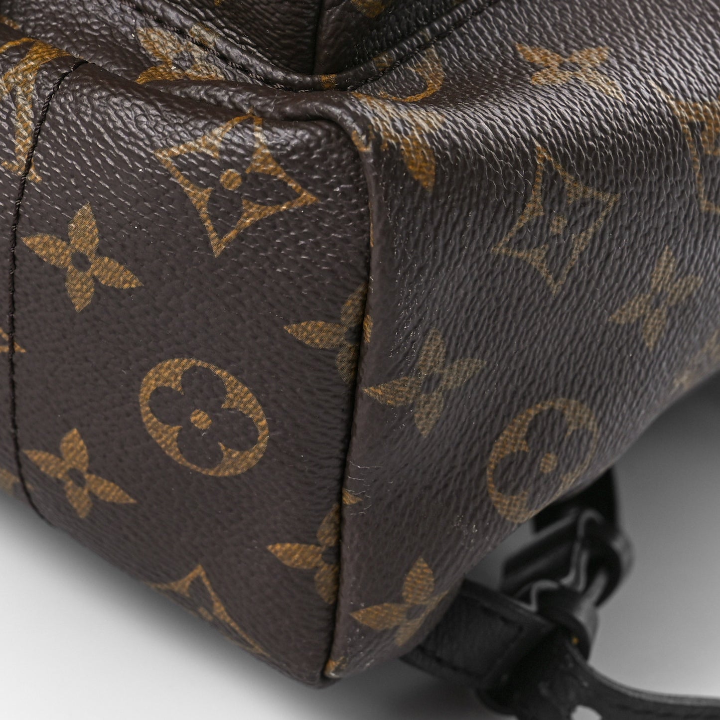 Monogram Palm Springs Backpack PM