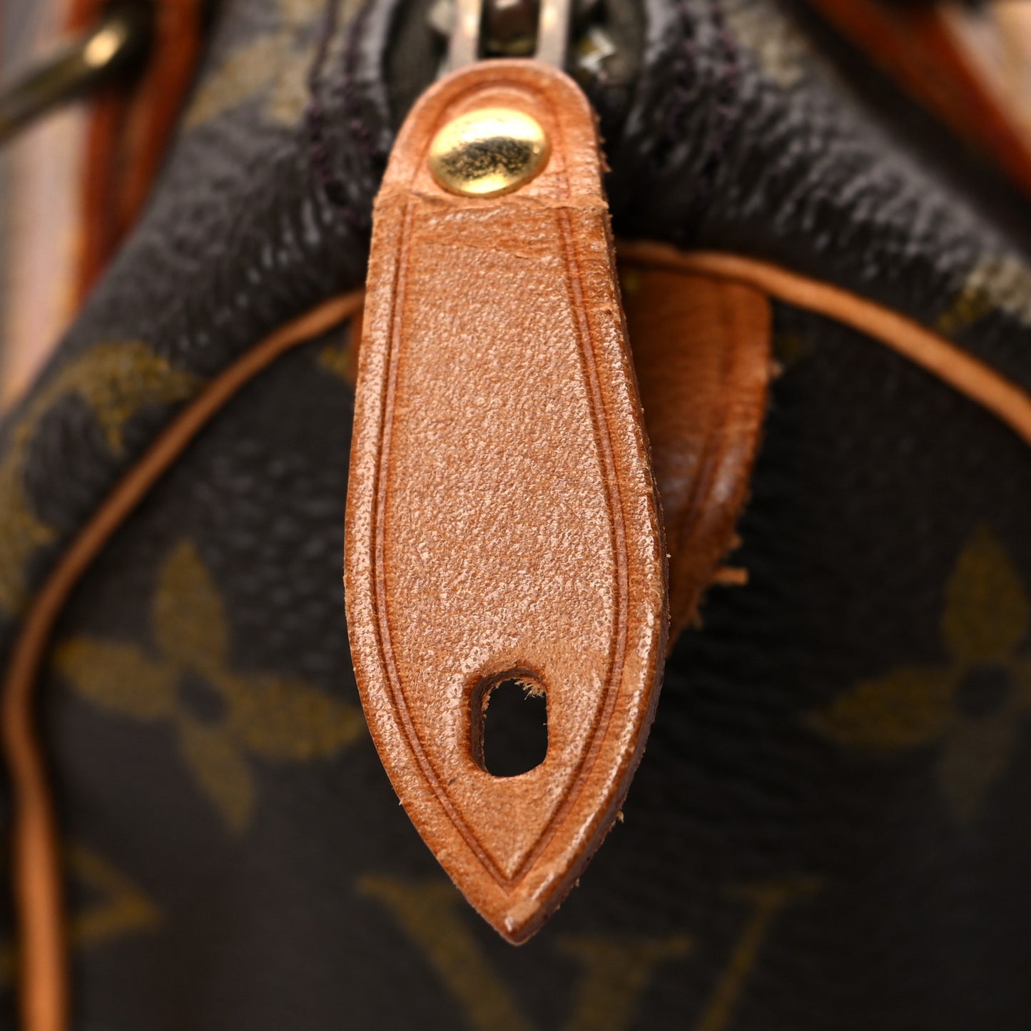 Monogram Mini Sac HL Speedy