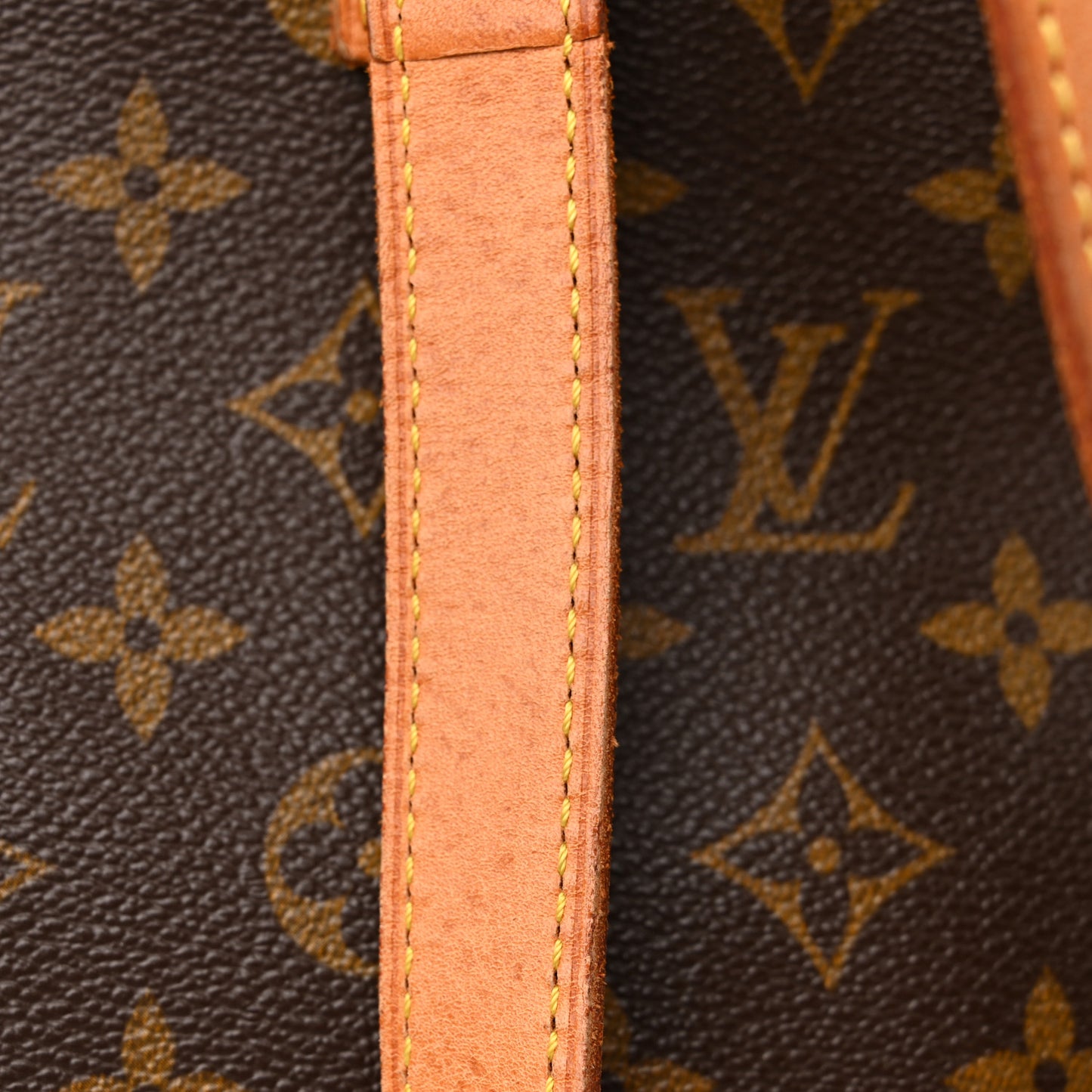 Monogram Cabas Mezzo