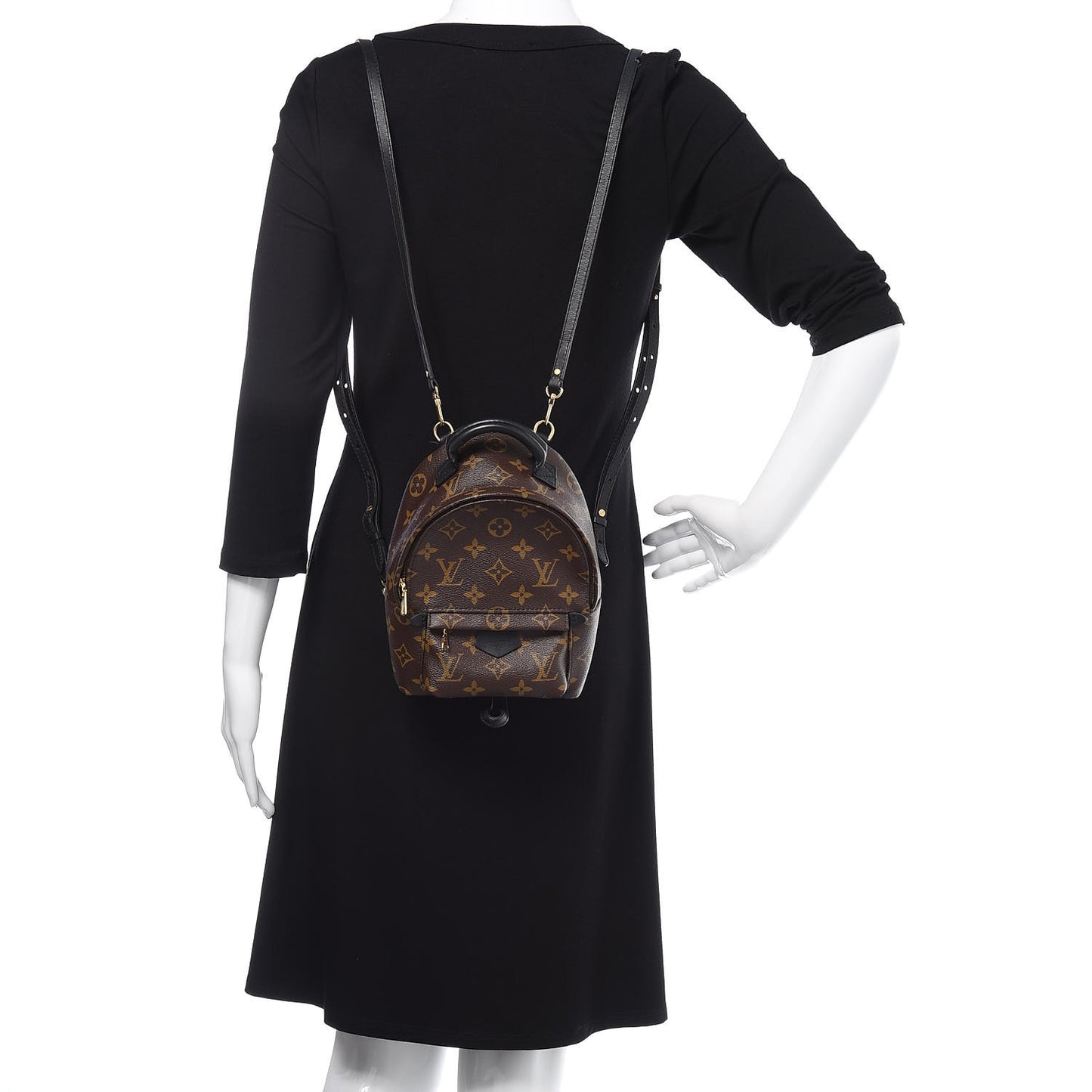 Monogram Palm Springs Backpack Mini