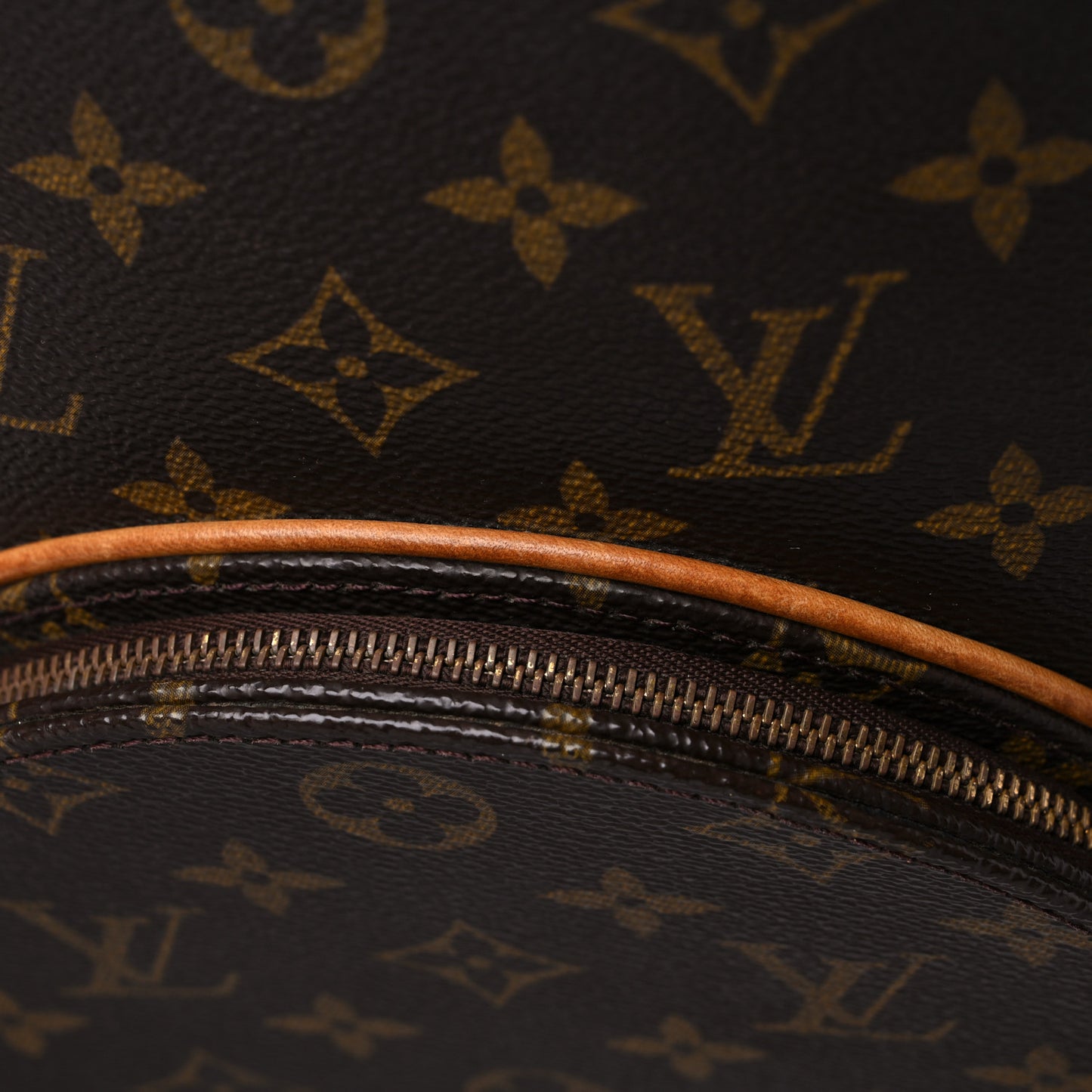 Monogram Ellipse GM Shopping Bag