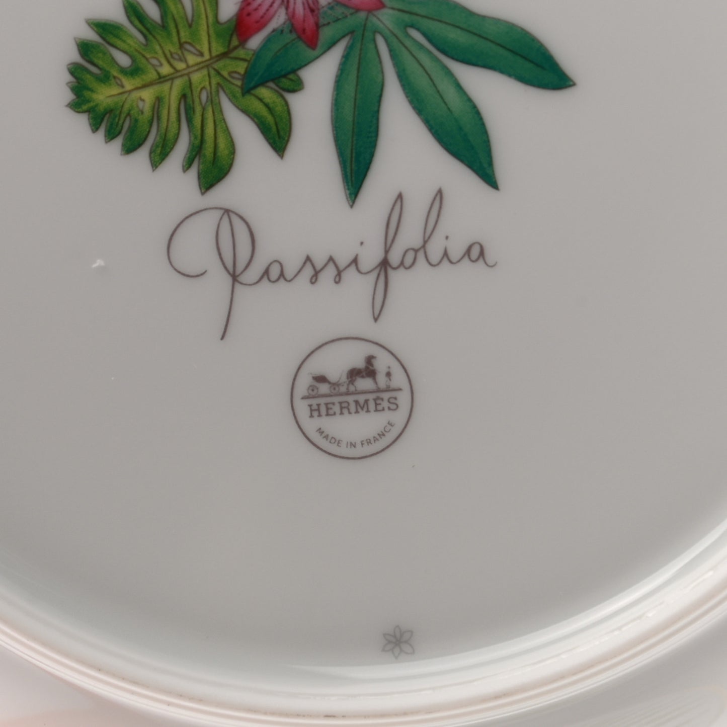 Porcelain Passifolia Cereal Bowl Set of 2