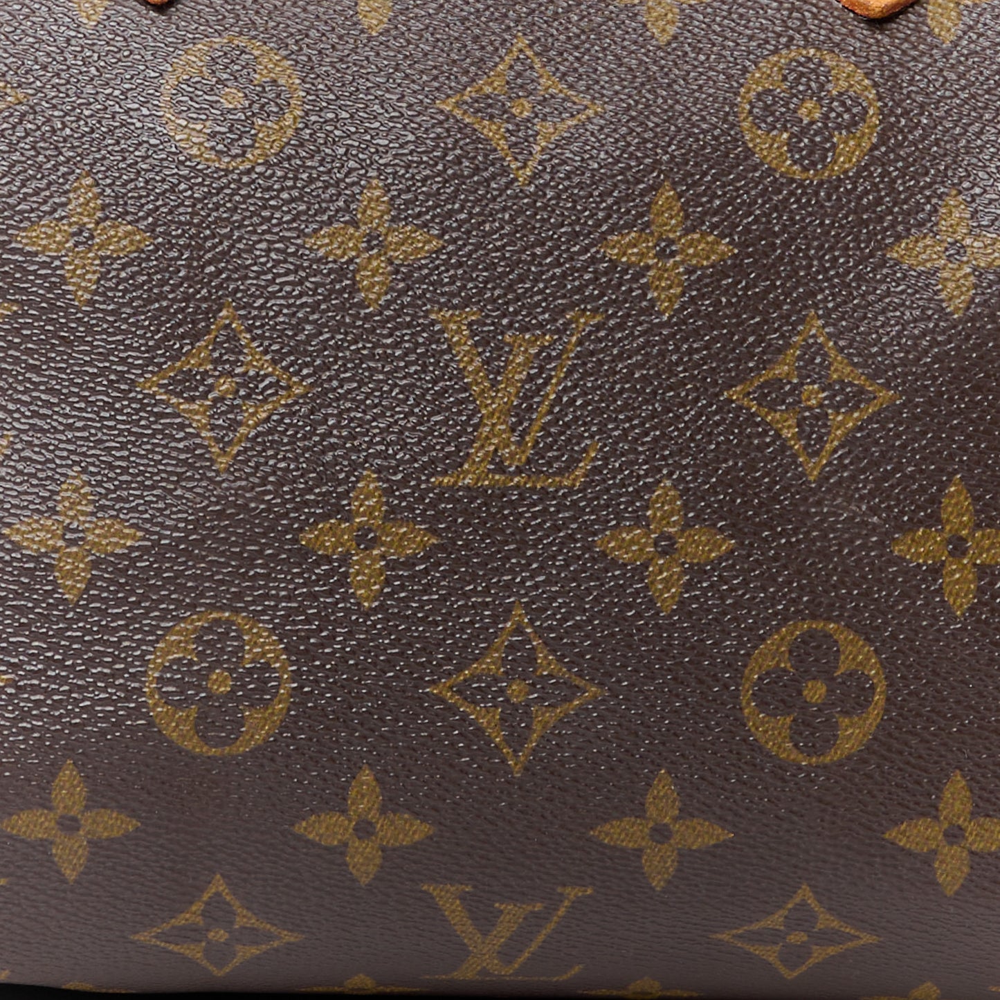 LOUIS VUITTON Monogram Speedy 25