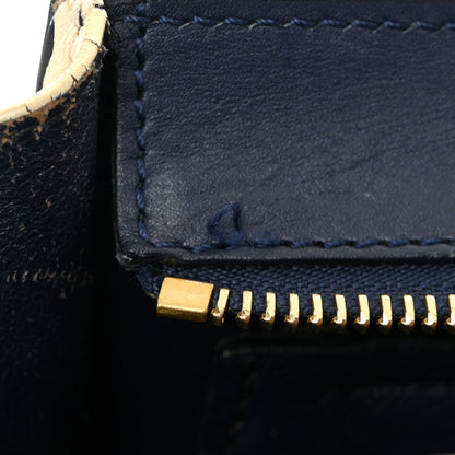 Celine Snakeskin Calfskin Medium Trapeze Natural Navy Blue 11 of 17