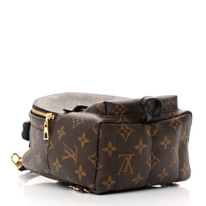 Louis Vuitton Monogram Palm Springs Backpack Mini 4 of 19