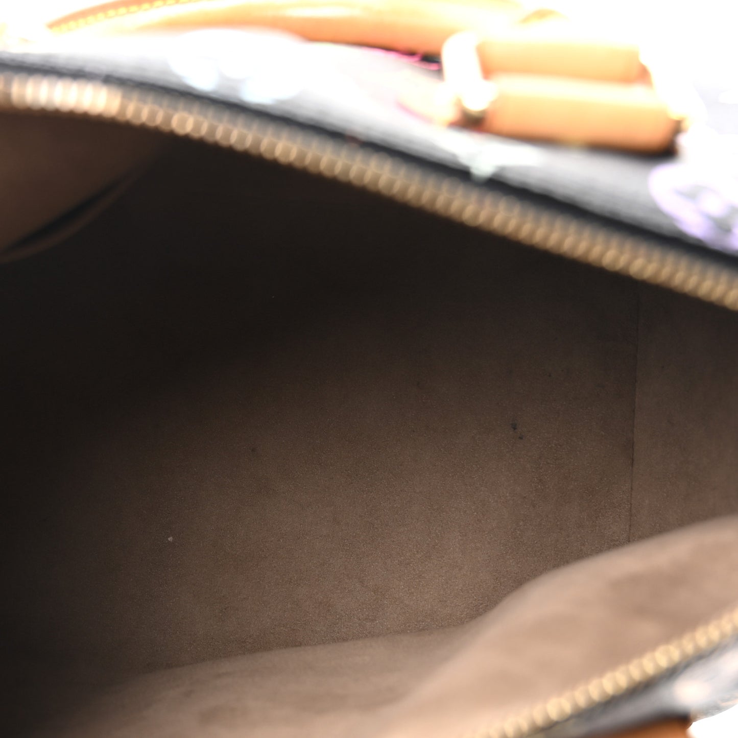 Monogram Multicolor Speedy 30 Black