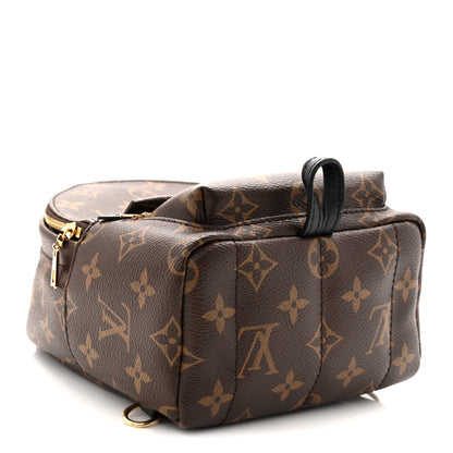 Louis Vuitton Monogram Palm Springs Backpack Mini 4 of 9