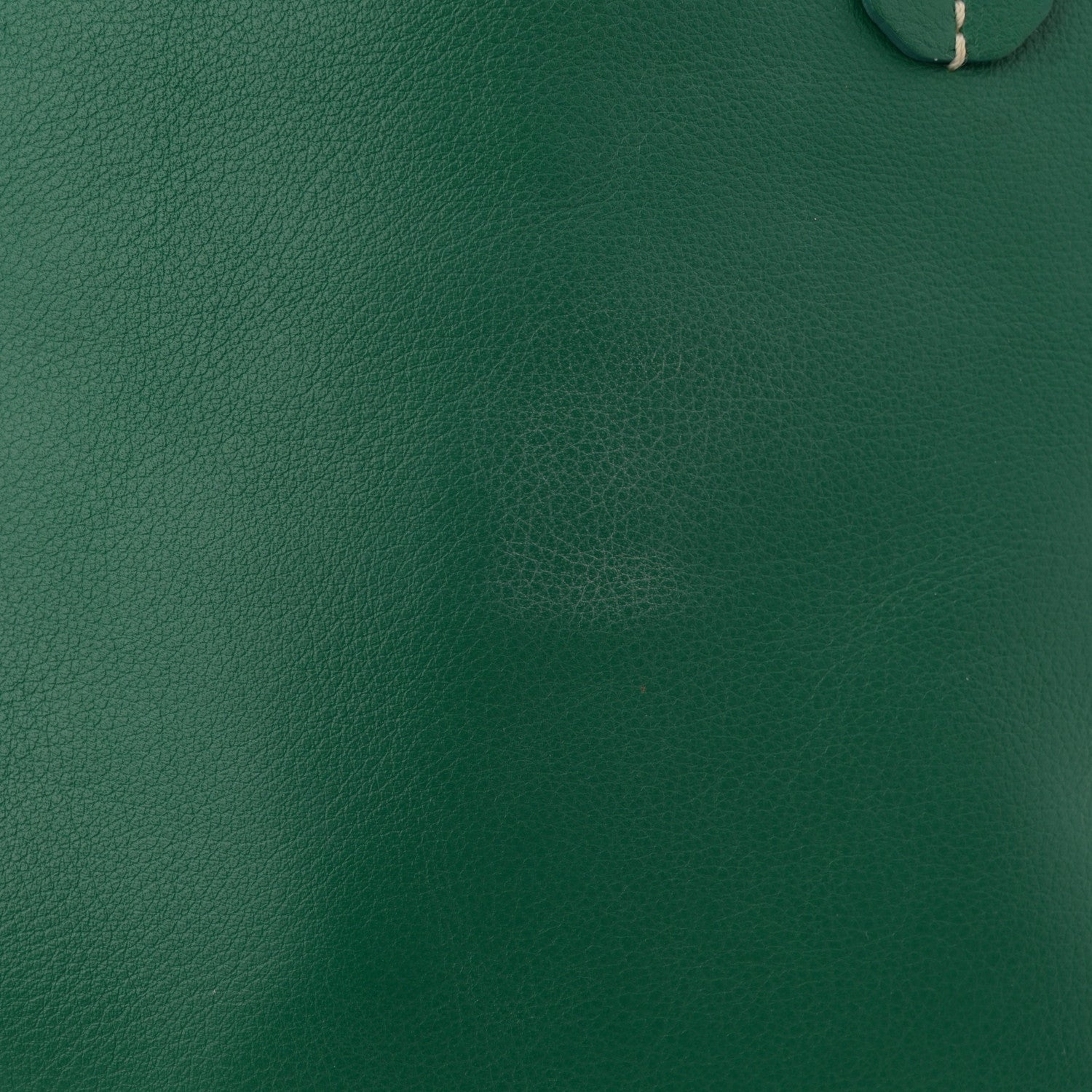 Goyard Goyardine Reversible Mini Anjou Green 19 of 20
