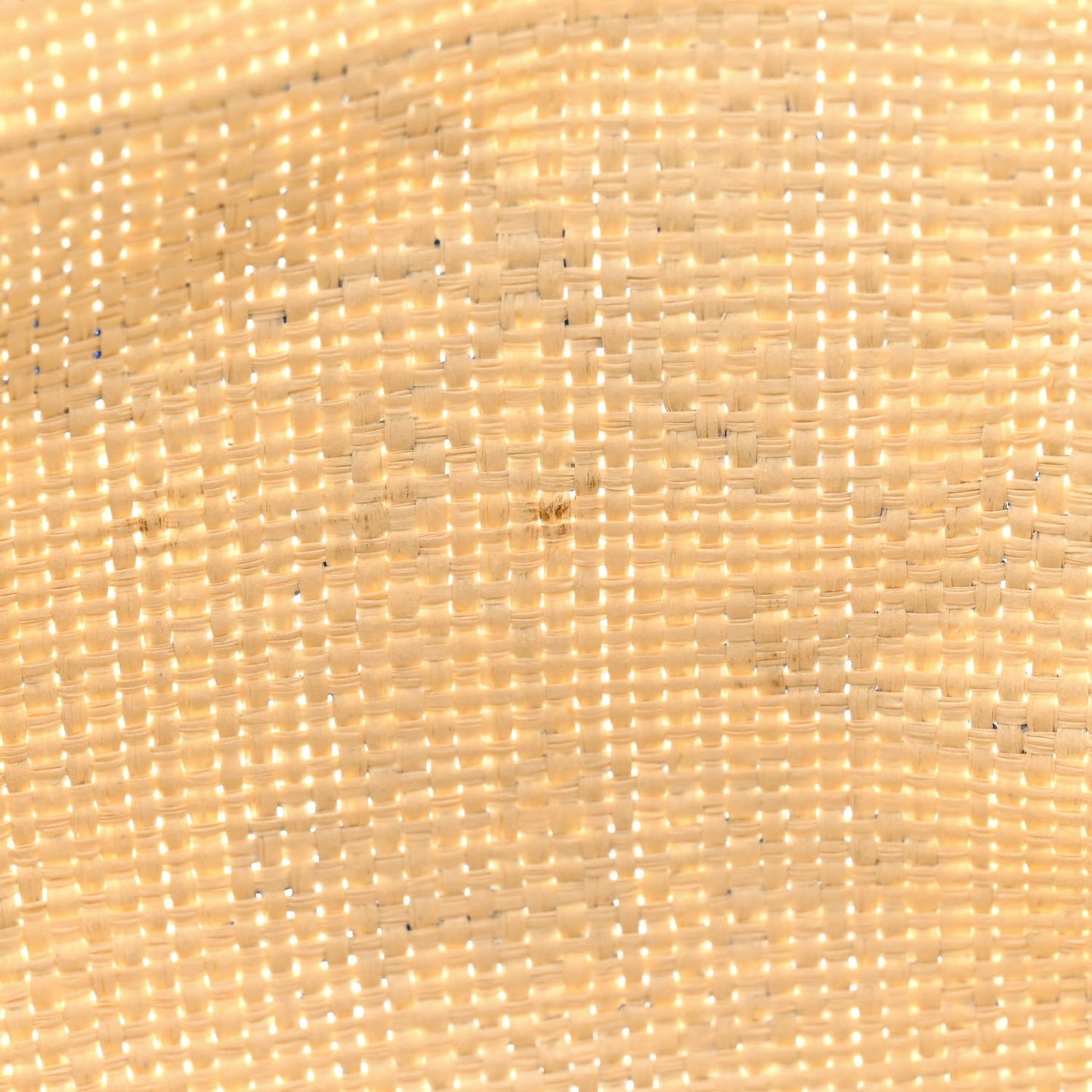 Straw Dioriviera Tote Blue