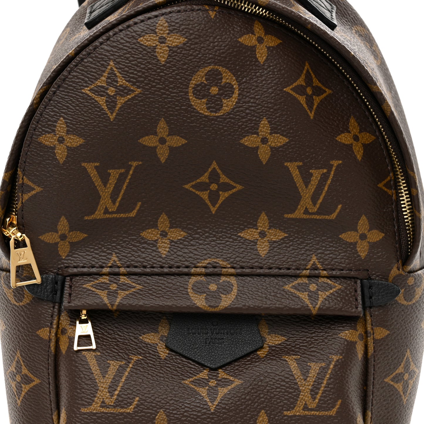 Monogram Palm Springs Backpack Mini