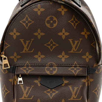 Louis Vuitton Monogram Palm Springs Backpack Mini 9 of 14