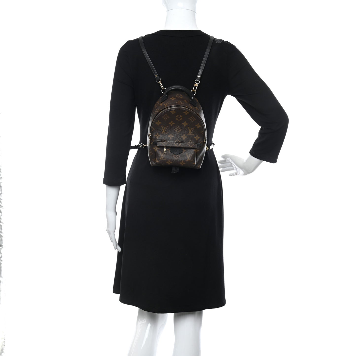 Monogram Palm Springs Backpack Mini