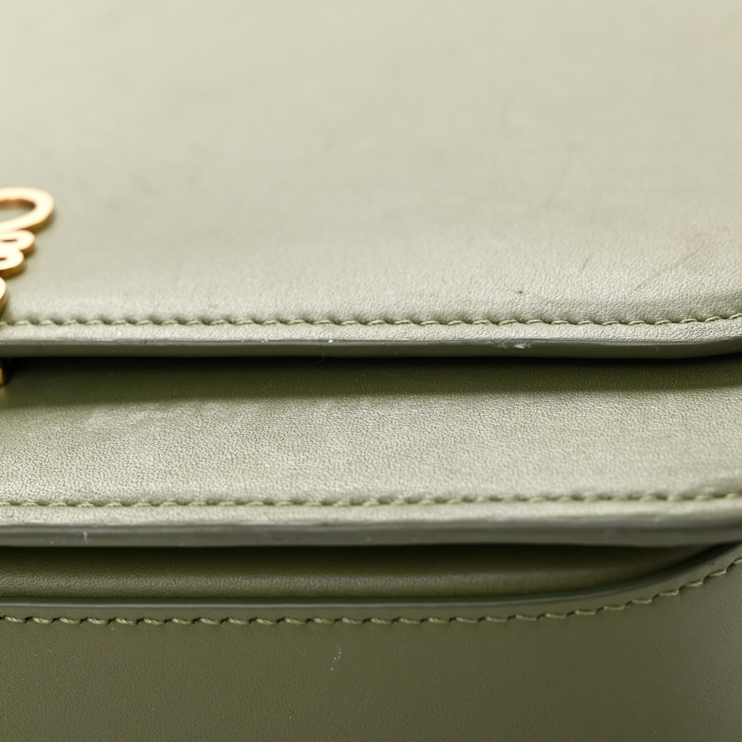 Loewe Silk Calfskin Goya Bag Avocado 16 of 16