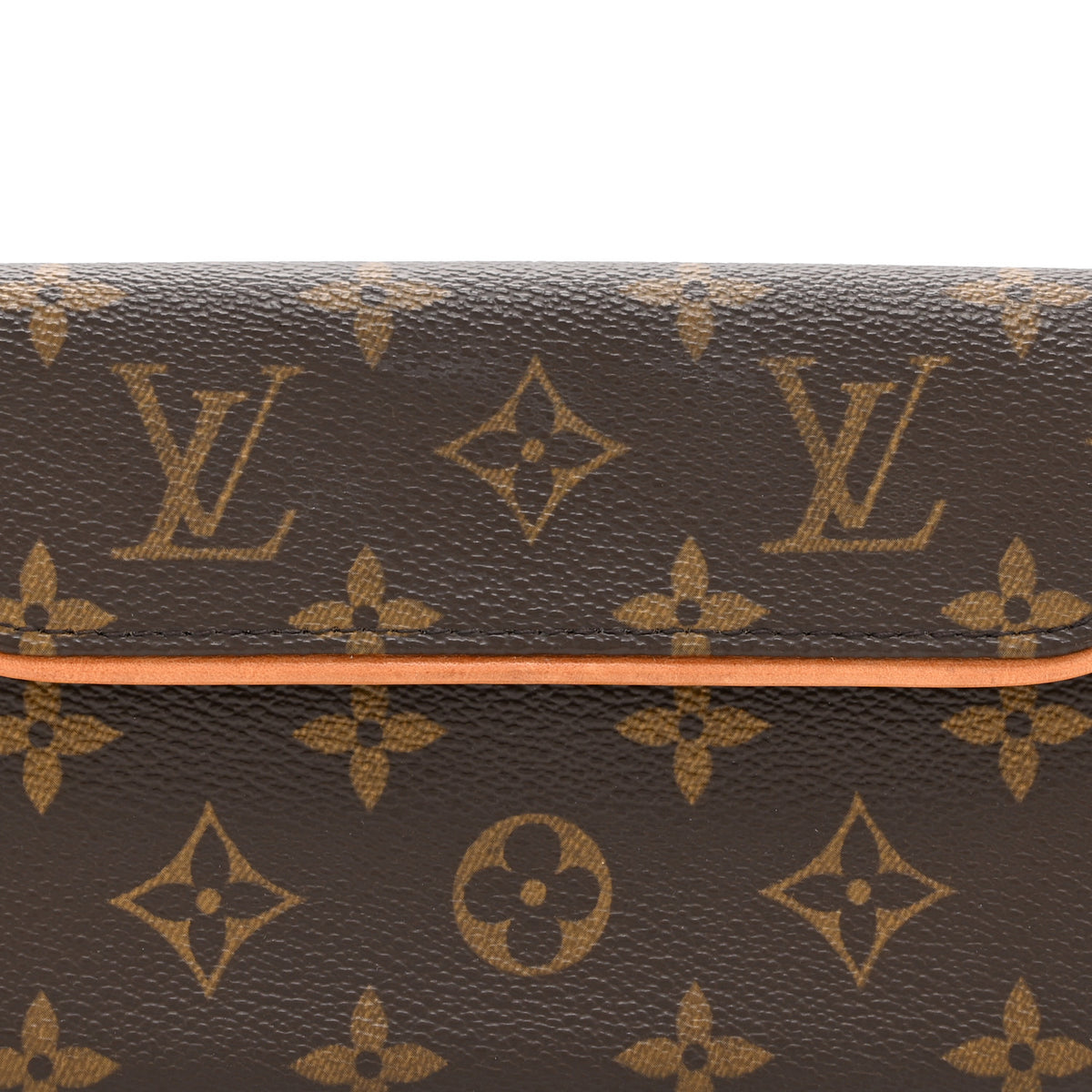 Louis Vuitton Monogram Pochette Florentine XS 8 of 10