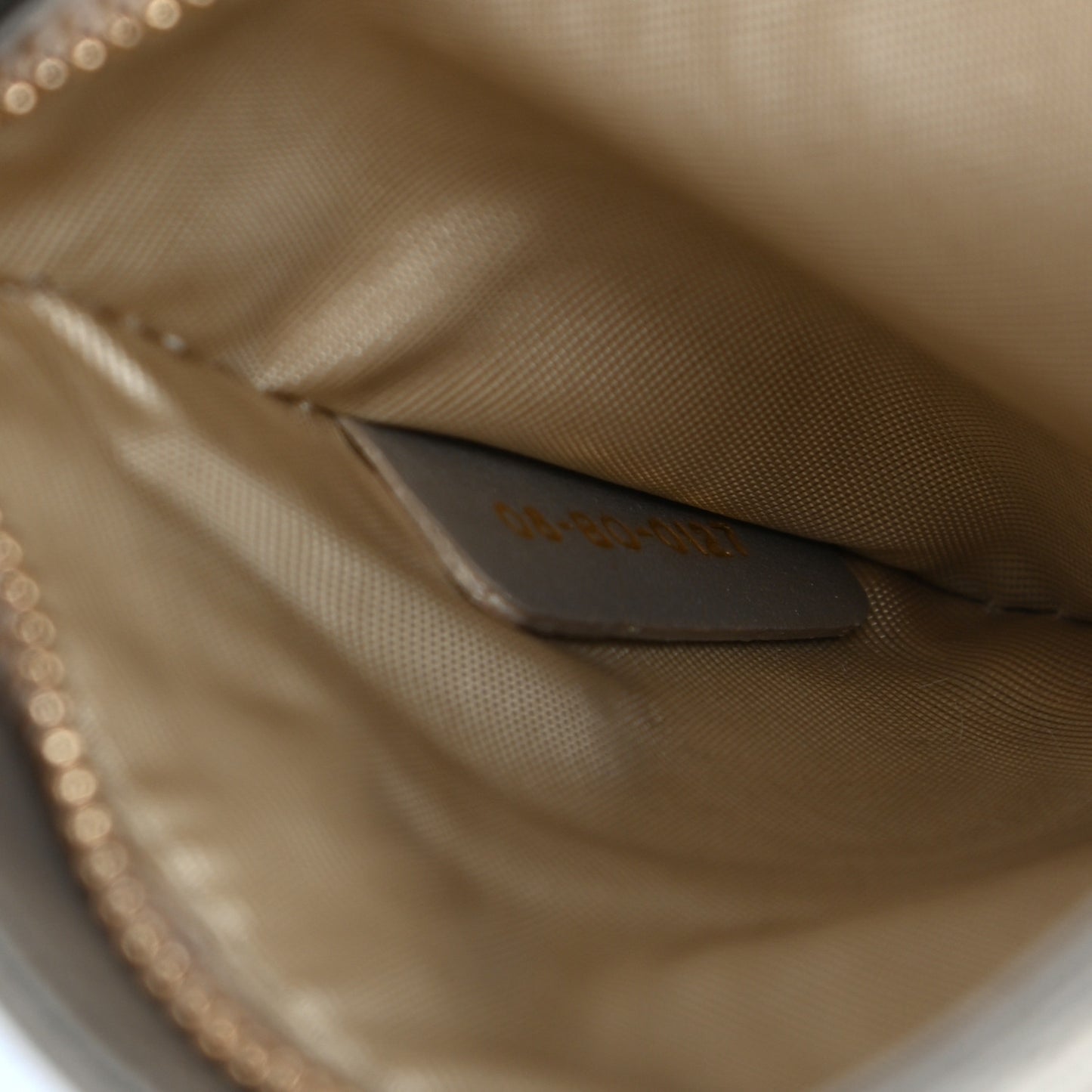 Metallic Grained Calfskin Diorama Wallet on Chain Pouch Light Gold