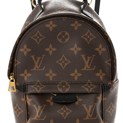 Louis Vuitton Monogram Palm Springs Backpack Mini 8 of 10