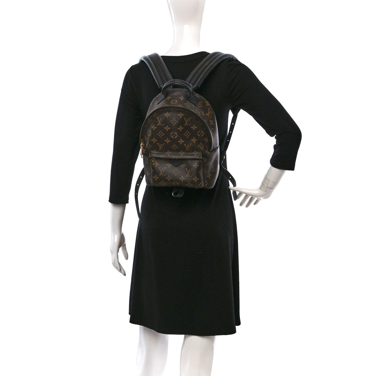 Louis Vuitton Monogram Palm Springs Backpack PM 2 of 8