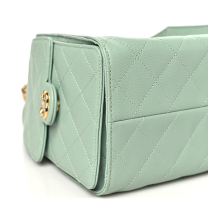 Chanel Caviar Quilted Small Chanel 25 Handbag Light Green 9 of 11