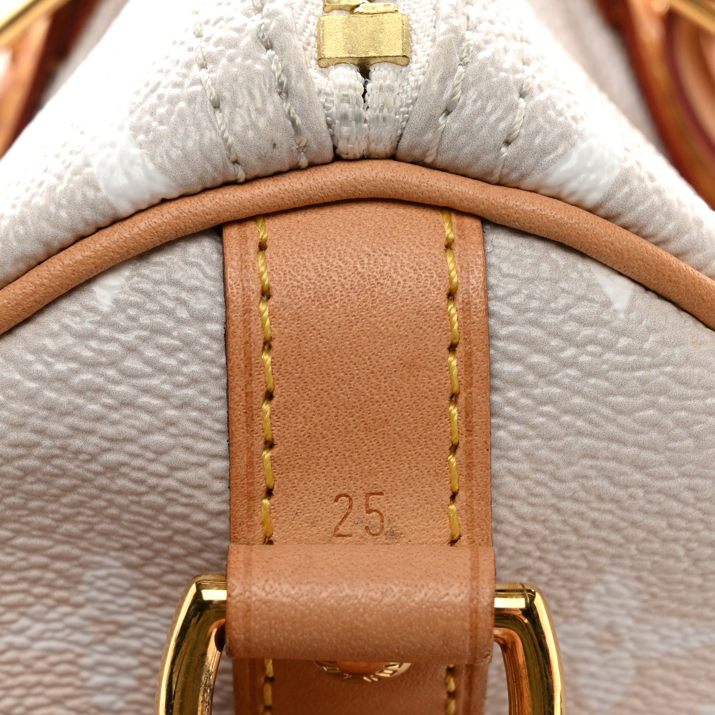 Monogram Giant By The Pool Speedy Bandouliere 25 Brume