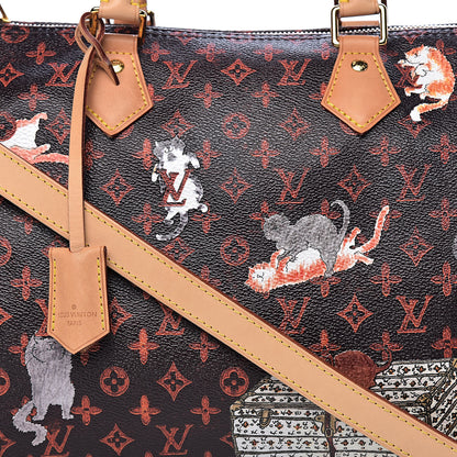 Louis Vuitton Catogram Speedy Bandouliere 30 Marron 10 of 10