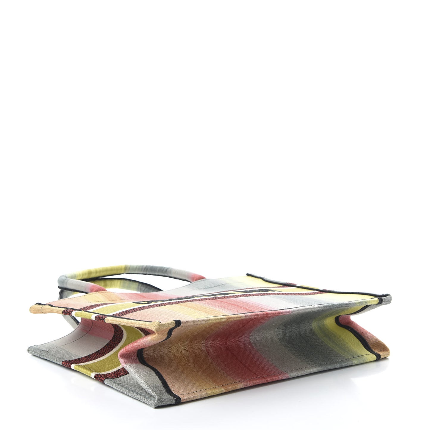 Canvas Embroidered Medium Dioraura Book Tote Multicolor