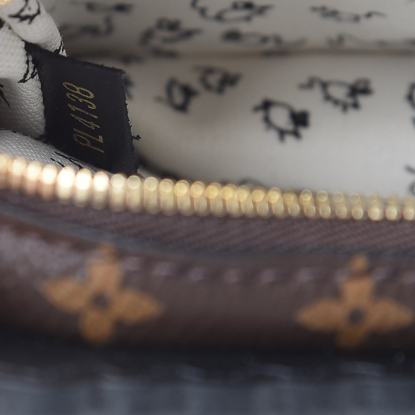Epi Catogram Full Cat Bag