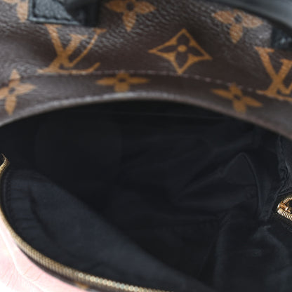 Louis Vuitton Monogram Palm Springs Backpack Mini 4 of 12