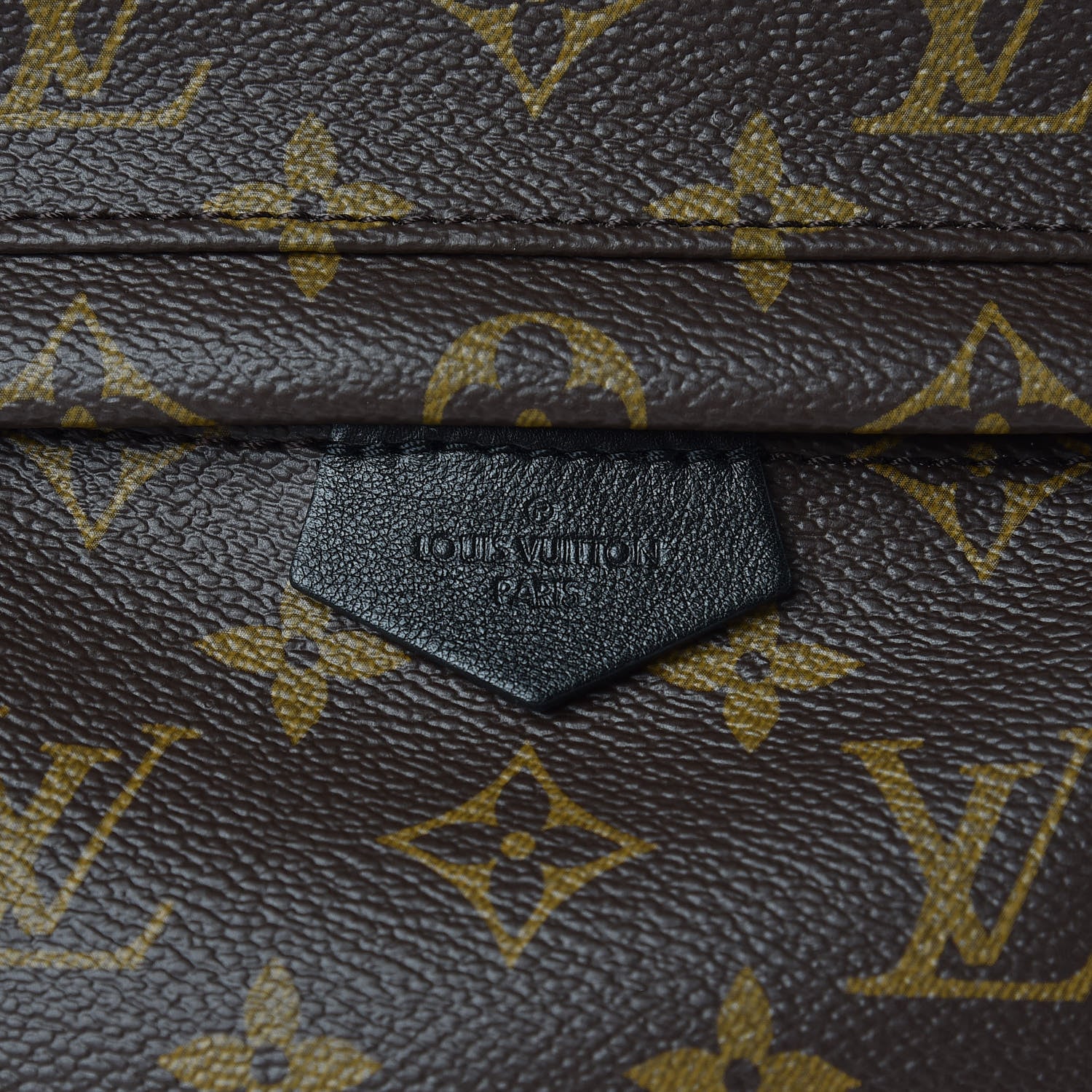 Louis Vuitton Monogram Palm Springs Backpack PM 6 of 11