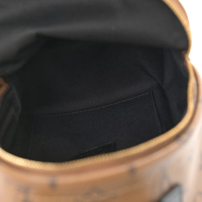 Louis Vuitton Reverse Monogram Palm Springs Backpack Mini 5 of 10