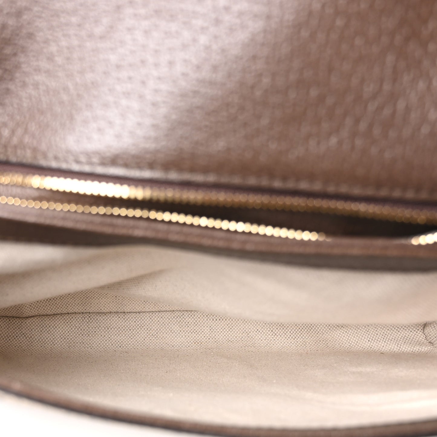 GG Supreme Monogram Textured Dollar Calfskin Web Medium Blondie Top Handle Shoulder Flap Bag Beige Ebony New Acero