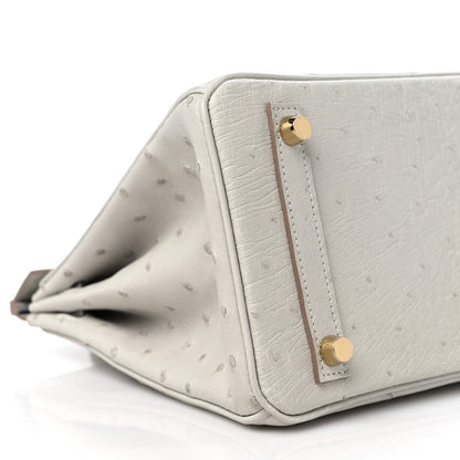Hermes Ostrich Birkin 25 Gris Perle 8 of 10