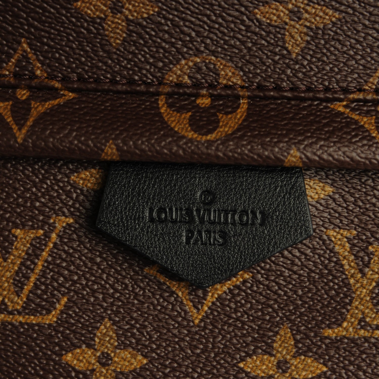 Louis Vuitton Monogram Palm Springs Backpack MM 5 of 7