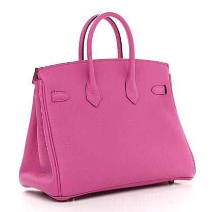 Hermes Togo Birkin 25 Magnolia 3 of 13