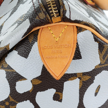 Louis Vuitton Monogram Graffiti Speedy 30 Silver 6 of 10