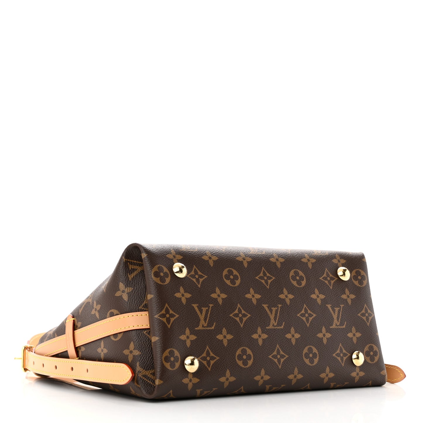 Monogram CarryAll PM
